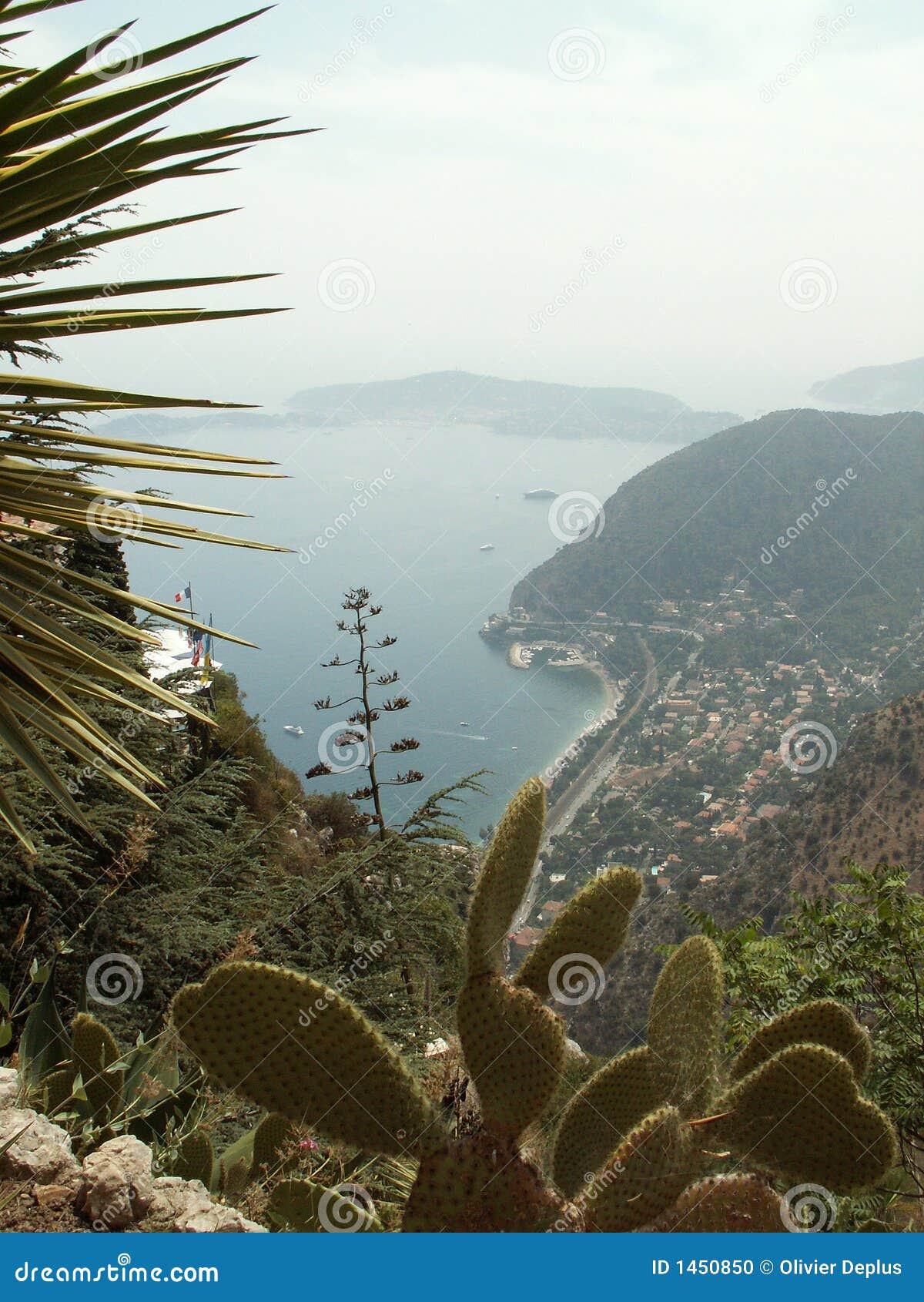 Eine Ansicht vom exotischen jardin im eze