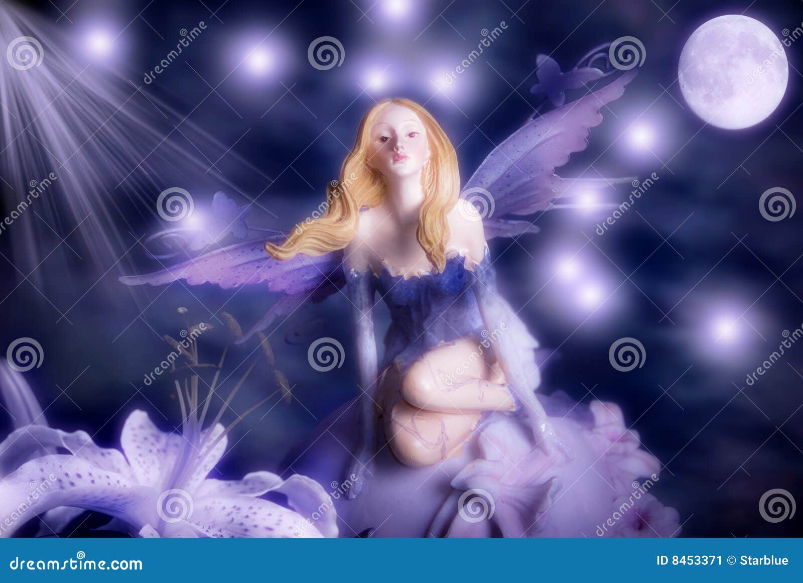 Fee D Elfe De Nuit Image Stock Image Du Lune Esprit