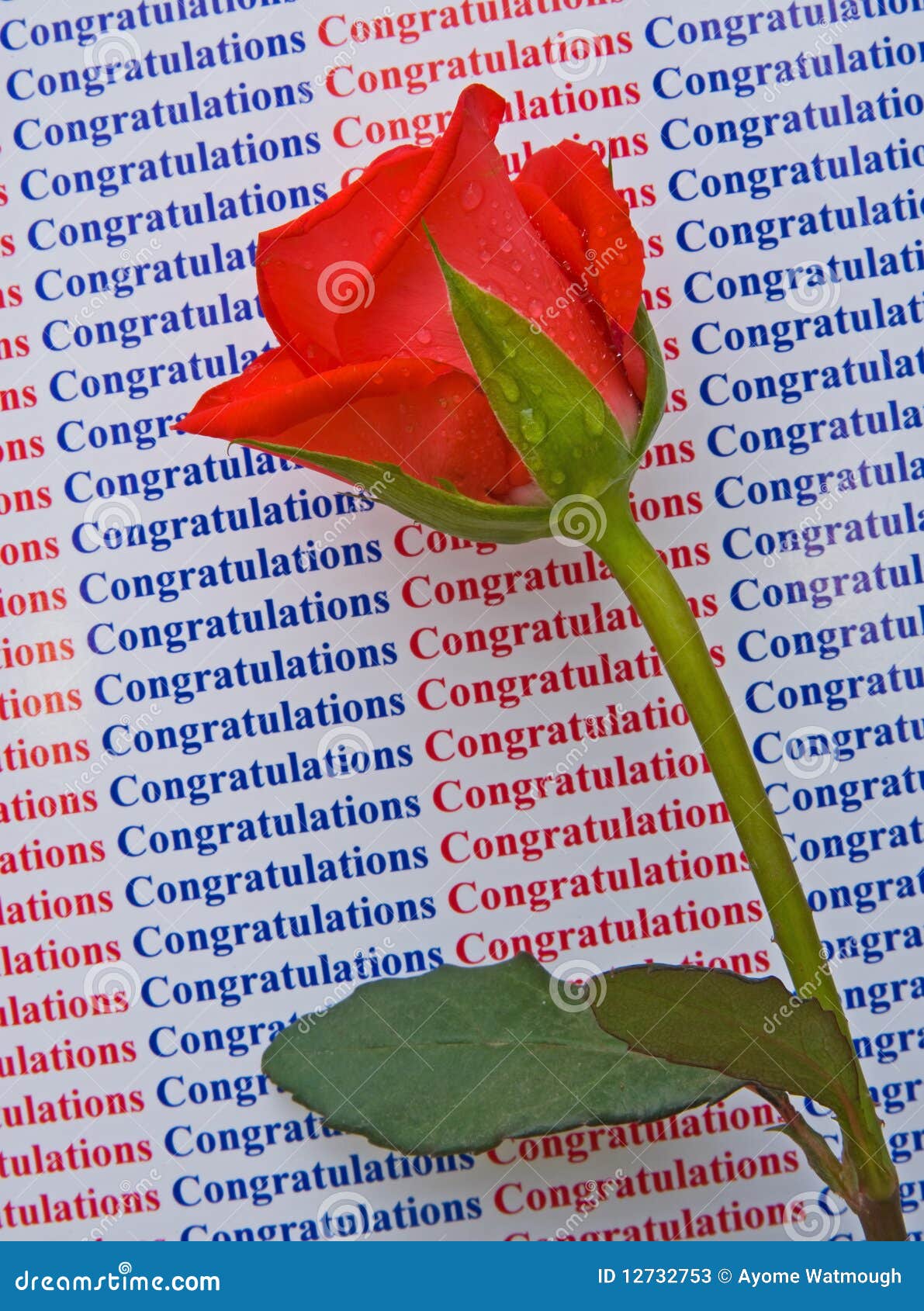 Felicitations Sur Votre Reussite Image Stock Image Du Felicitations Lettres Felicitations Sur Votre Reussite Image Stock Image Du Felicitations Lettres