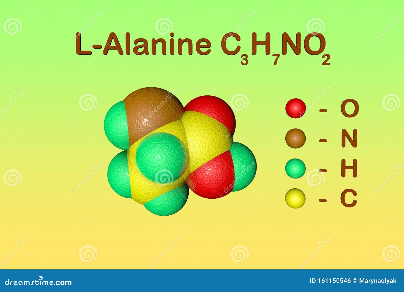Fórmula Química Estructural Y Modelo Molecular De L-alanina O Alanina,  Aminoácido Utilizado En El Stock de ilustración - Ilustración de modelo,  esencia: 161150546