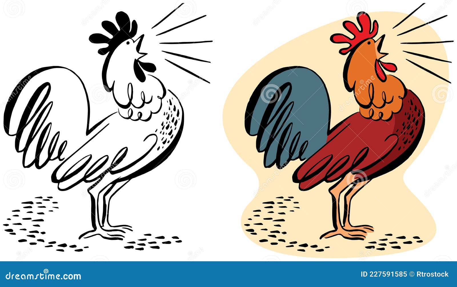 Rooster Crowing at Dawn Illustration Stock Vector - Illustration of rooster, farm: 227591585 Rooster Crowing at Dawn Illustration Stock Vector - Illustration of rooster, farm: 227591585