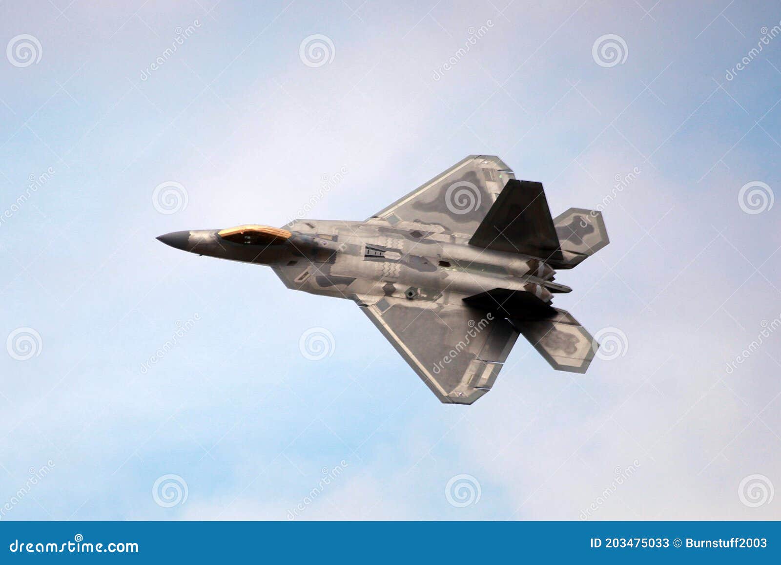 F-22 Raptor PHOTO United States Air Force Stealth Tactical Fighter Jet Top View 