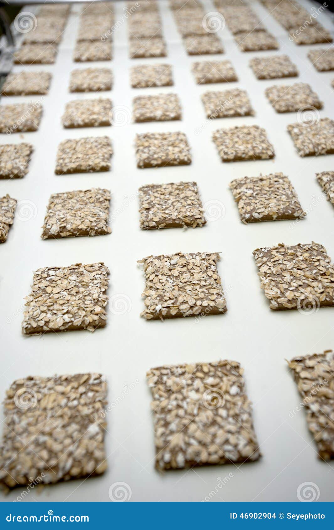 Fabbrica dei biscotti fotografia stock. Immagine di industria 46902904