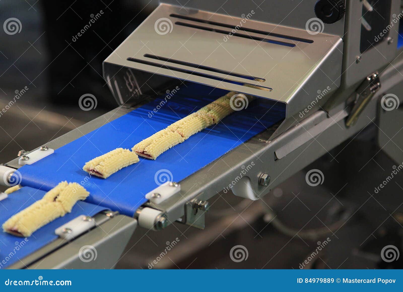 Fabbrica dei biscotti immagine stock. Immagine di biscotto 84979889