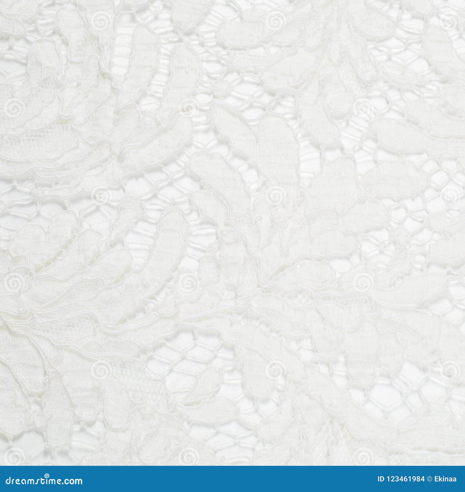 Fabric lace. lacy stock photo. Image of love, clothing 123461984