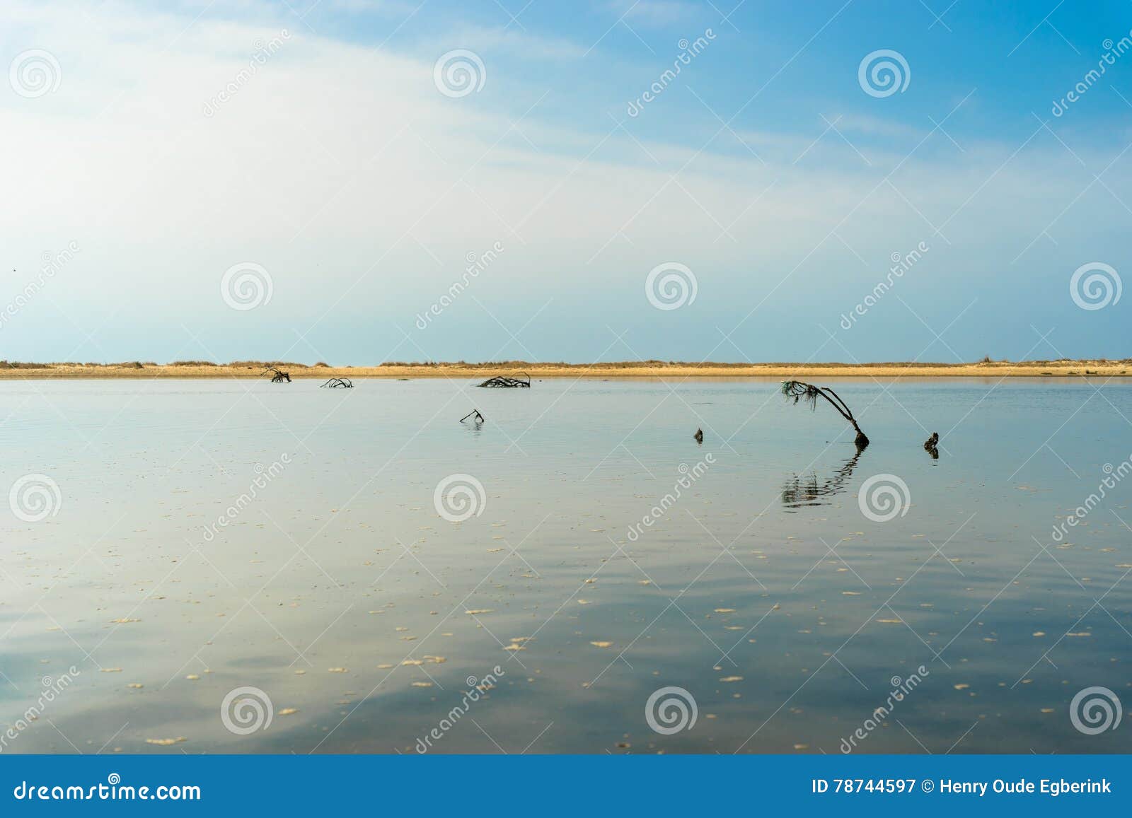 fabrica, ria formosa