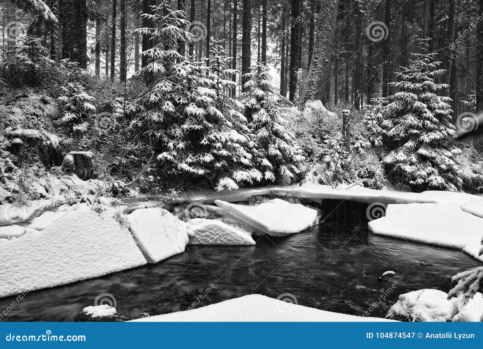 Fabulous Winter Forest and a River Under the Ice. Stock Image - Image ...