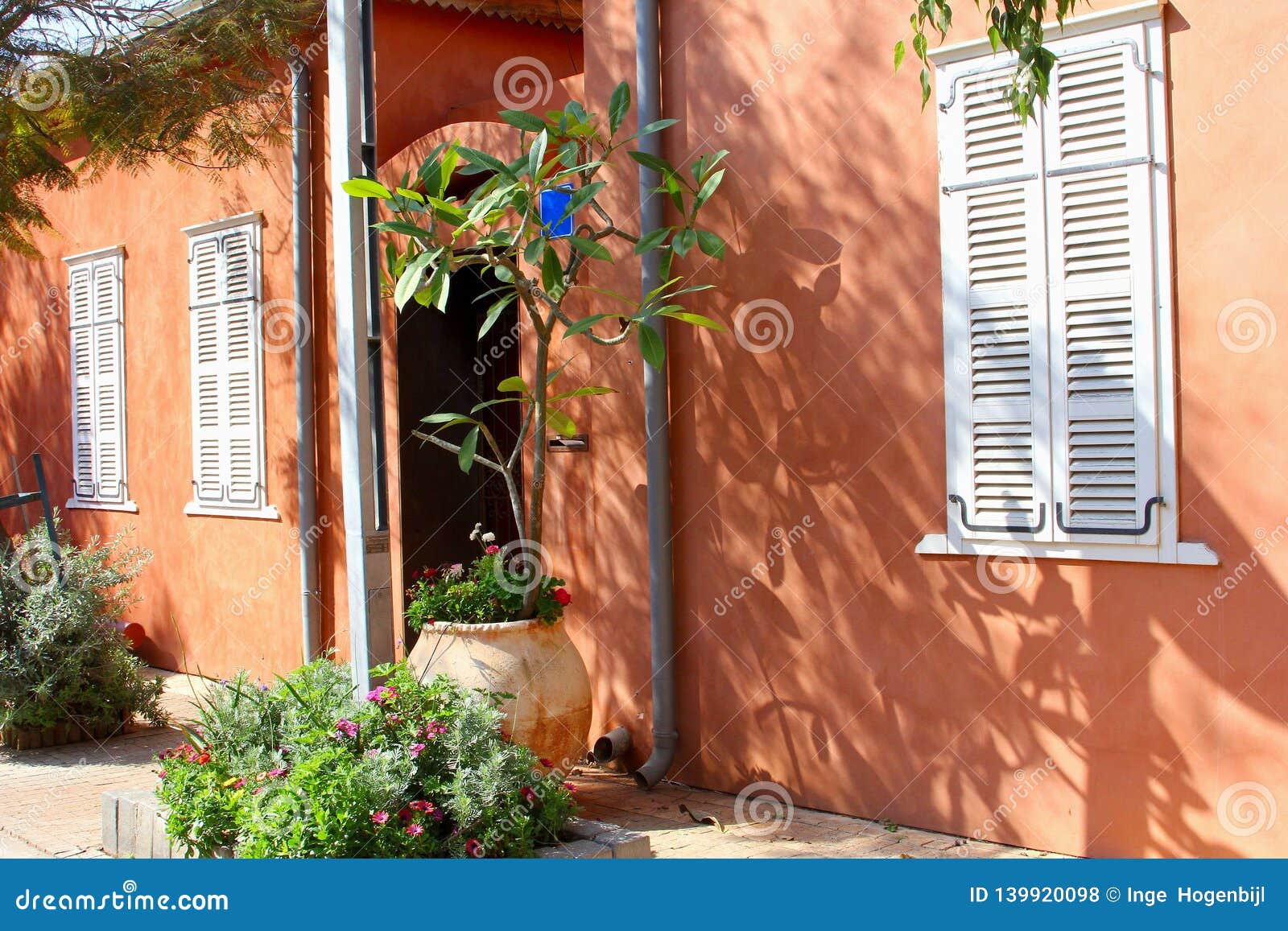 terra cotta wall house shutters garden plants, neve tzedek, tel aviv