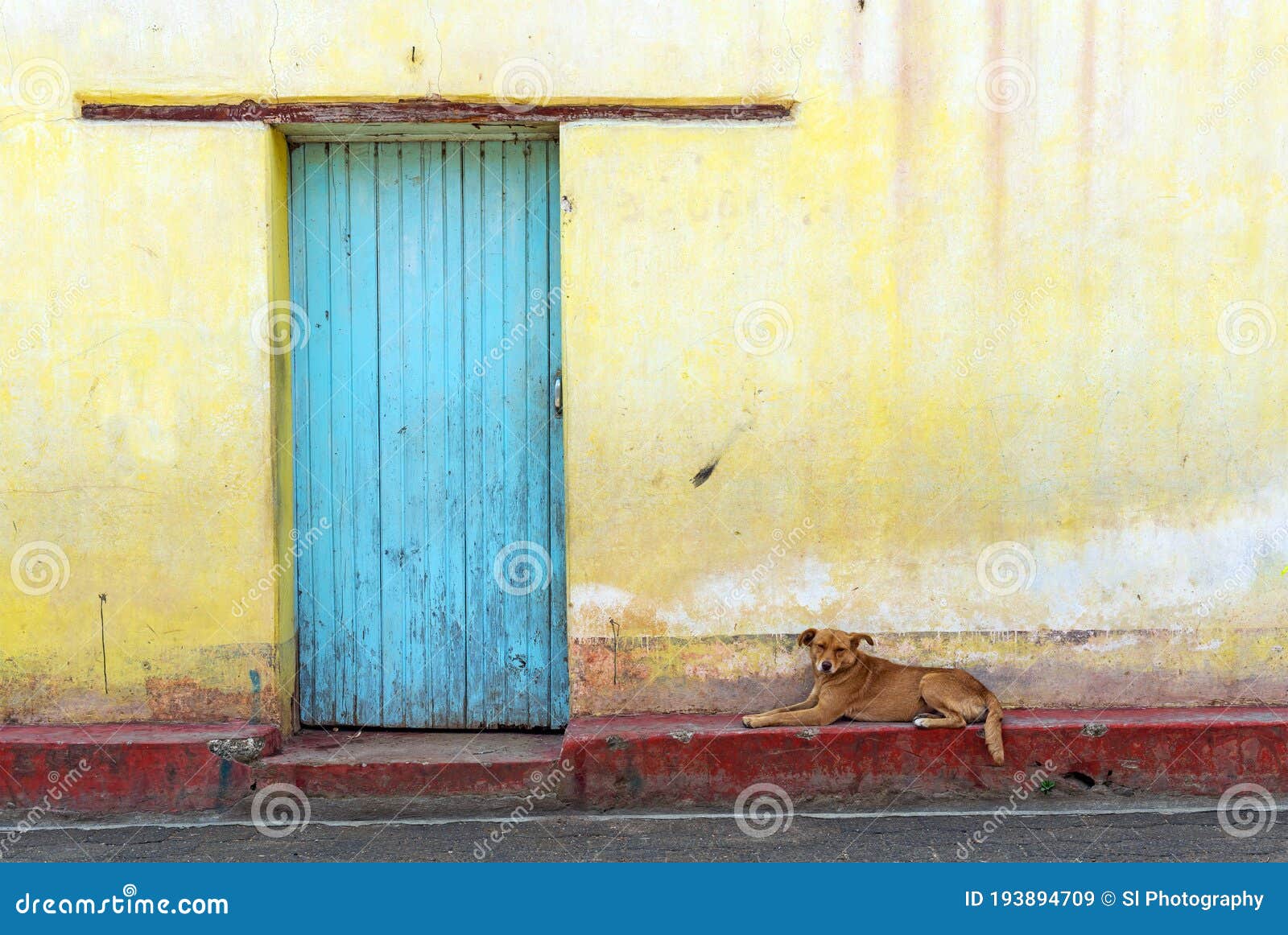 facade with turquoise door and dog, panajachel, guatemala