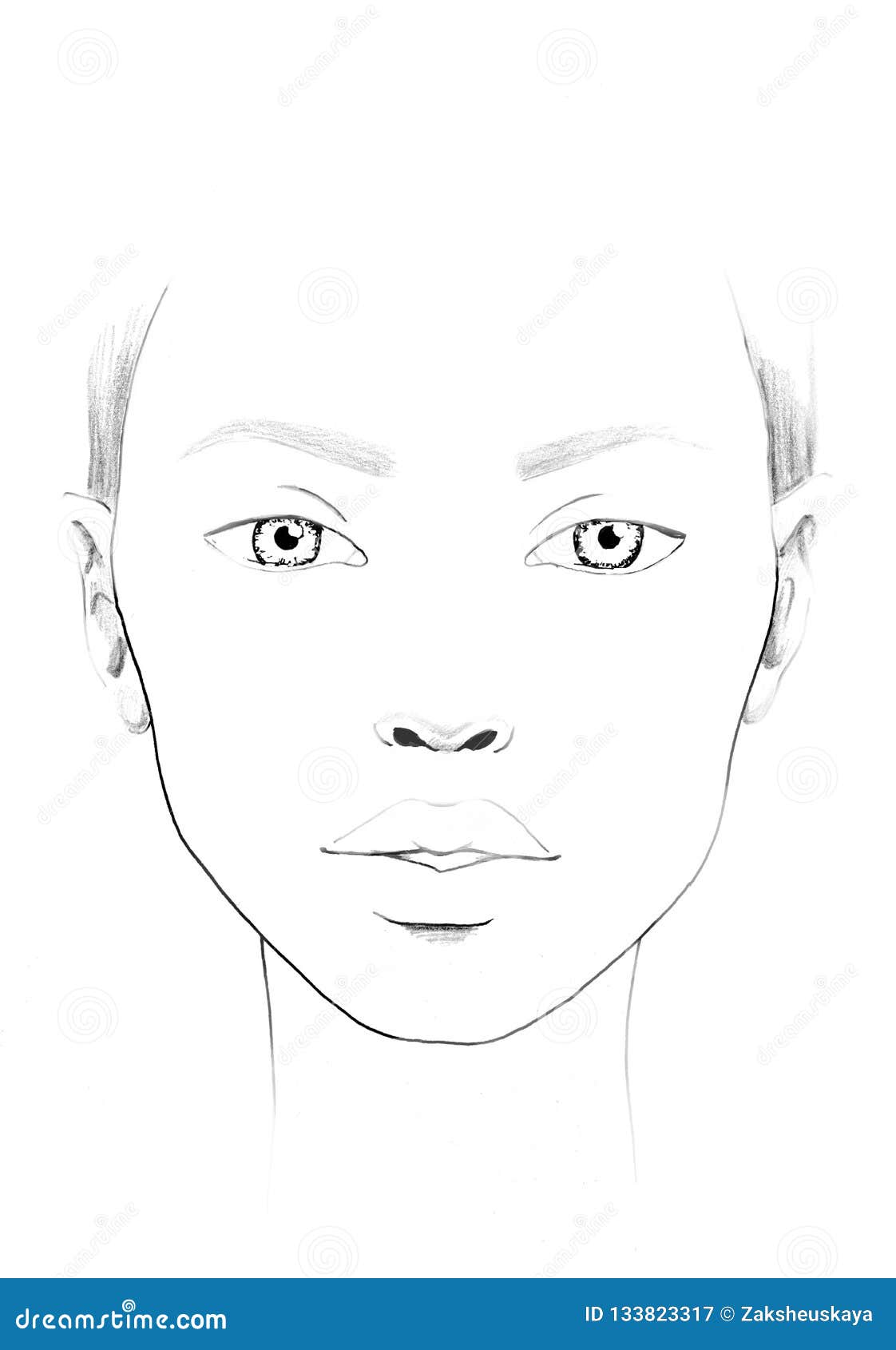 Face Chart Makeup Blank