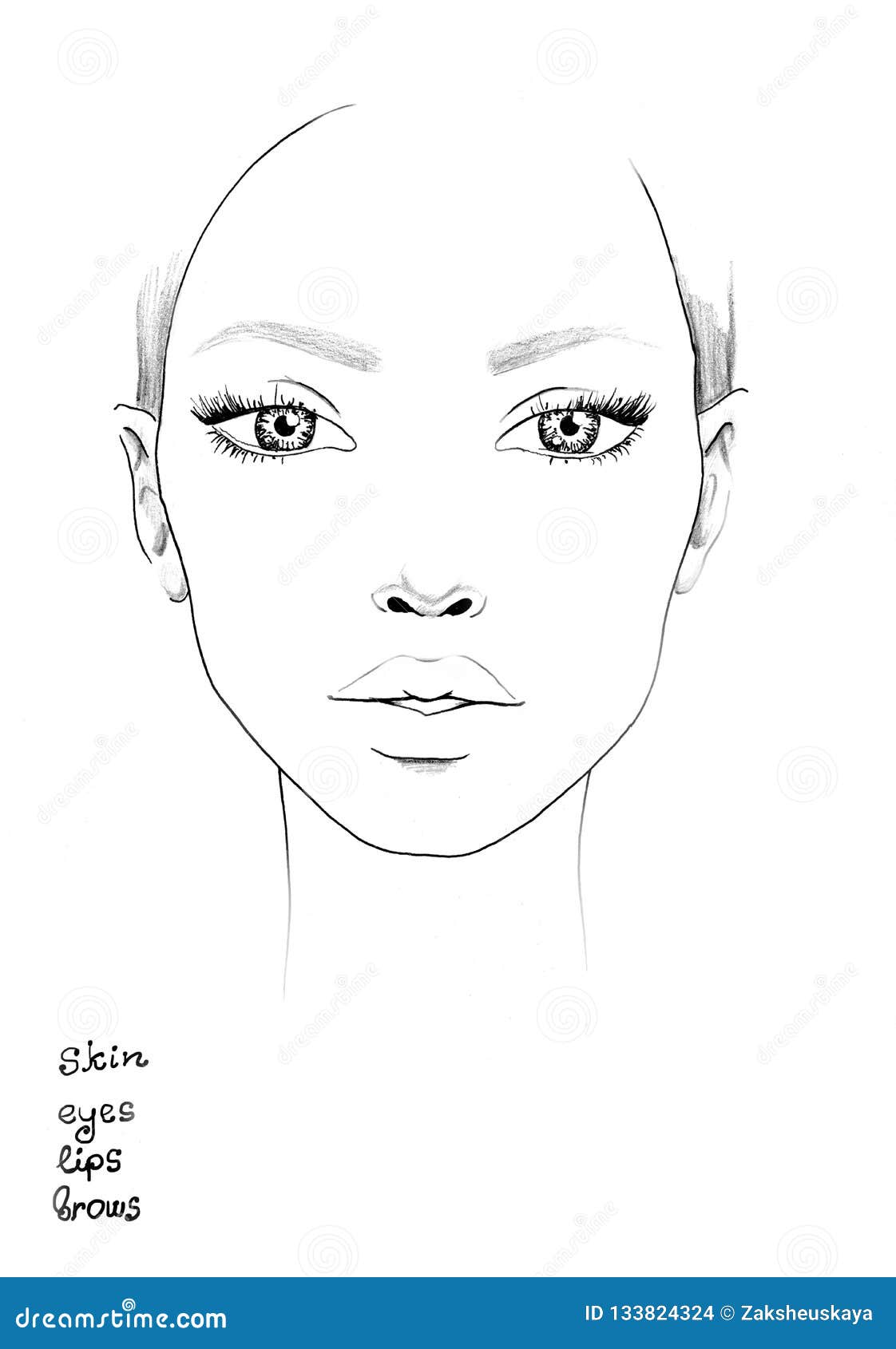 Free Blank Face Charts For Makeup