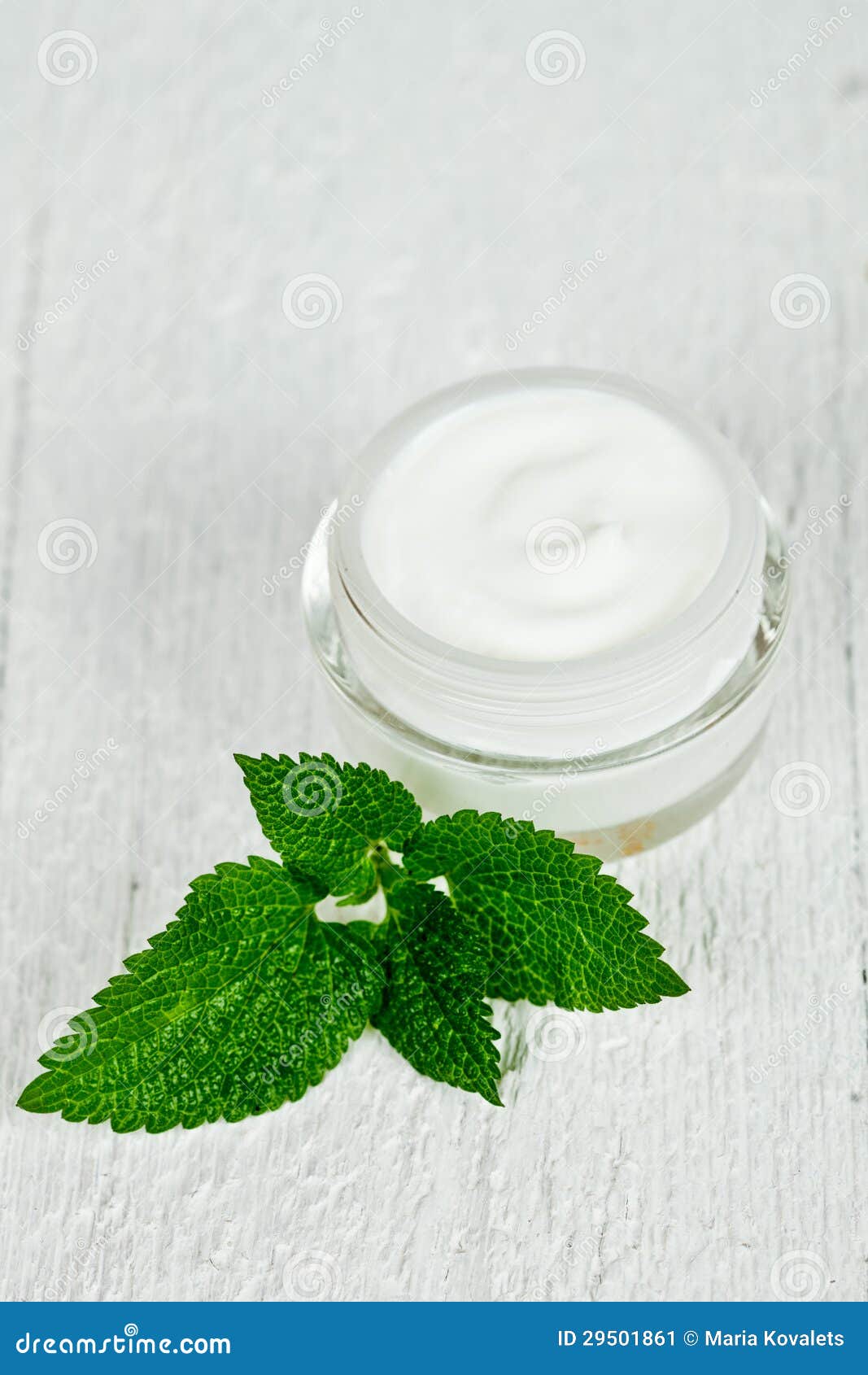 green leaf face cream