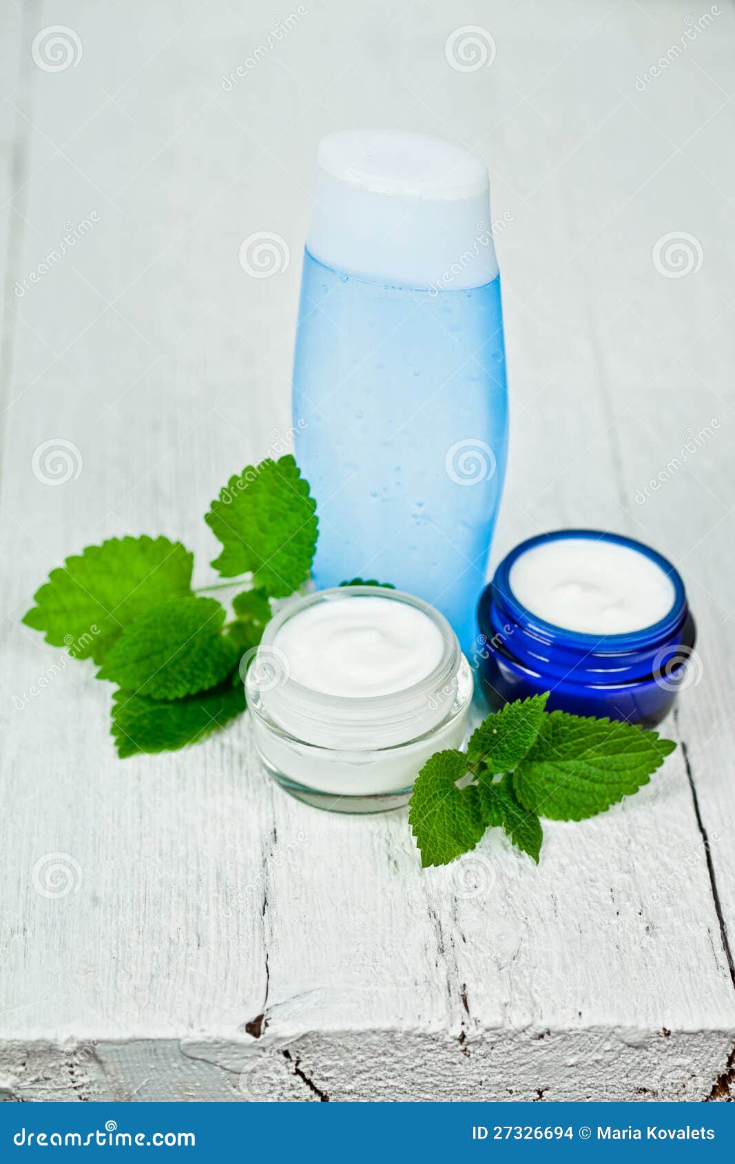 Face Cream and Lotion with Urtica Leaves Stock Photo Image of