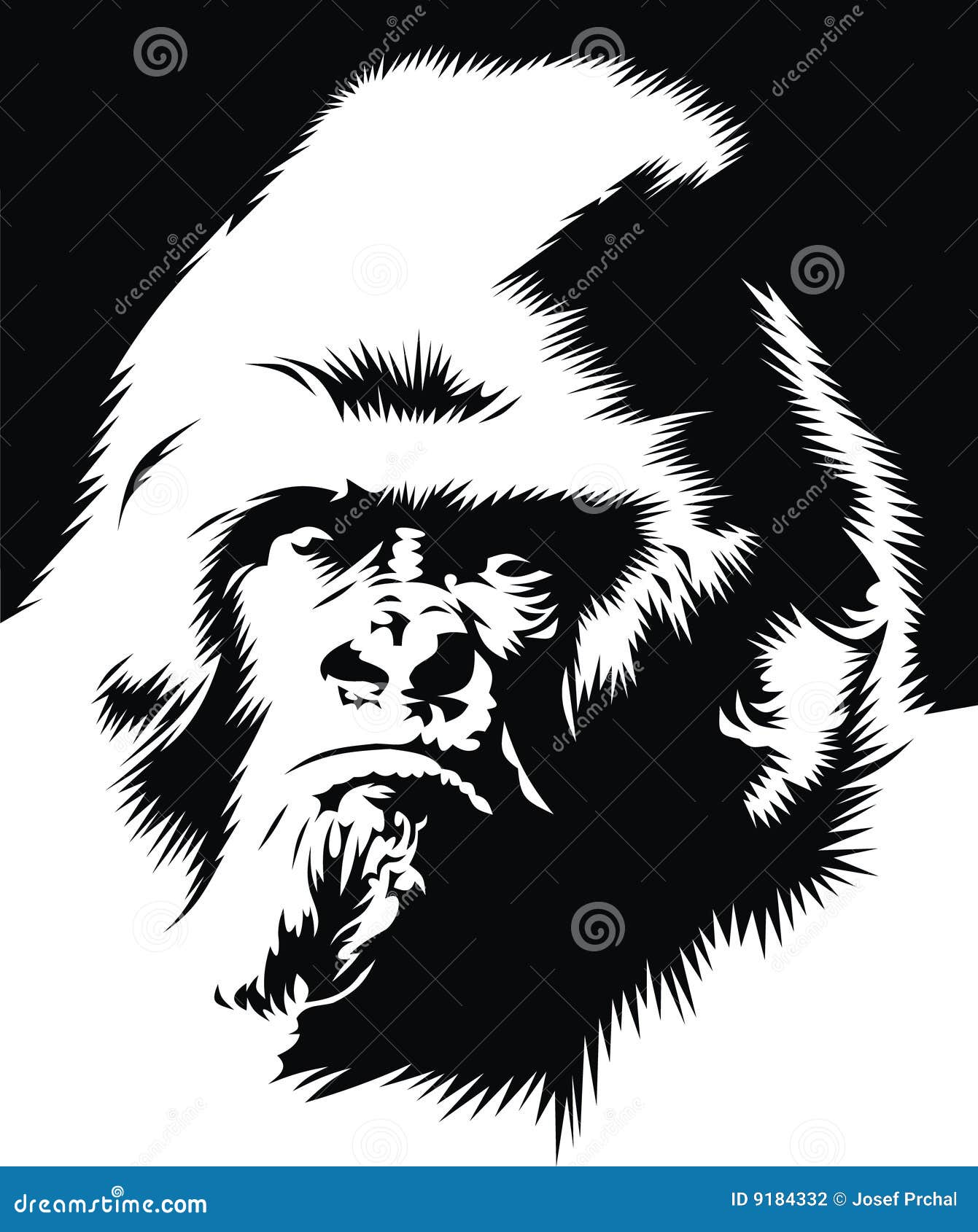 Face Of Gorilla Stock Photography - Image: 9184332