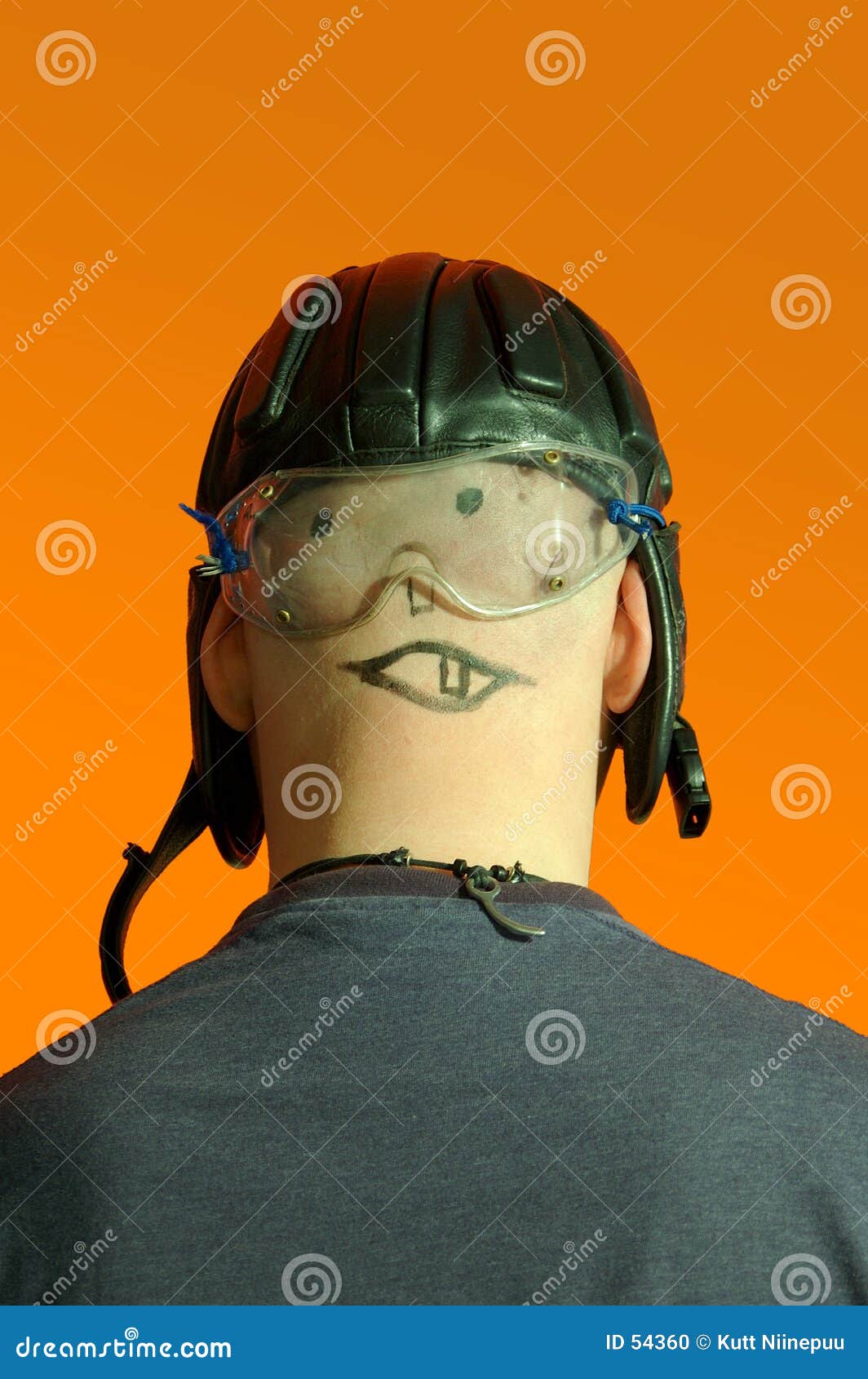 Face off, home edition stock photo. Image of face, portrait 54360