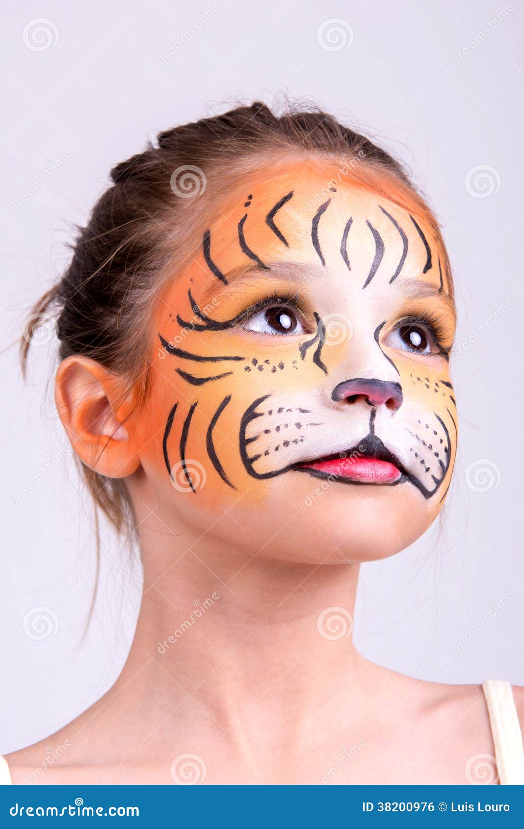 Face Painting Tiger Stock Photo Image Of Expression 38200976