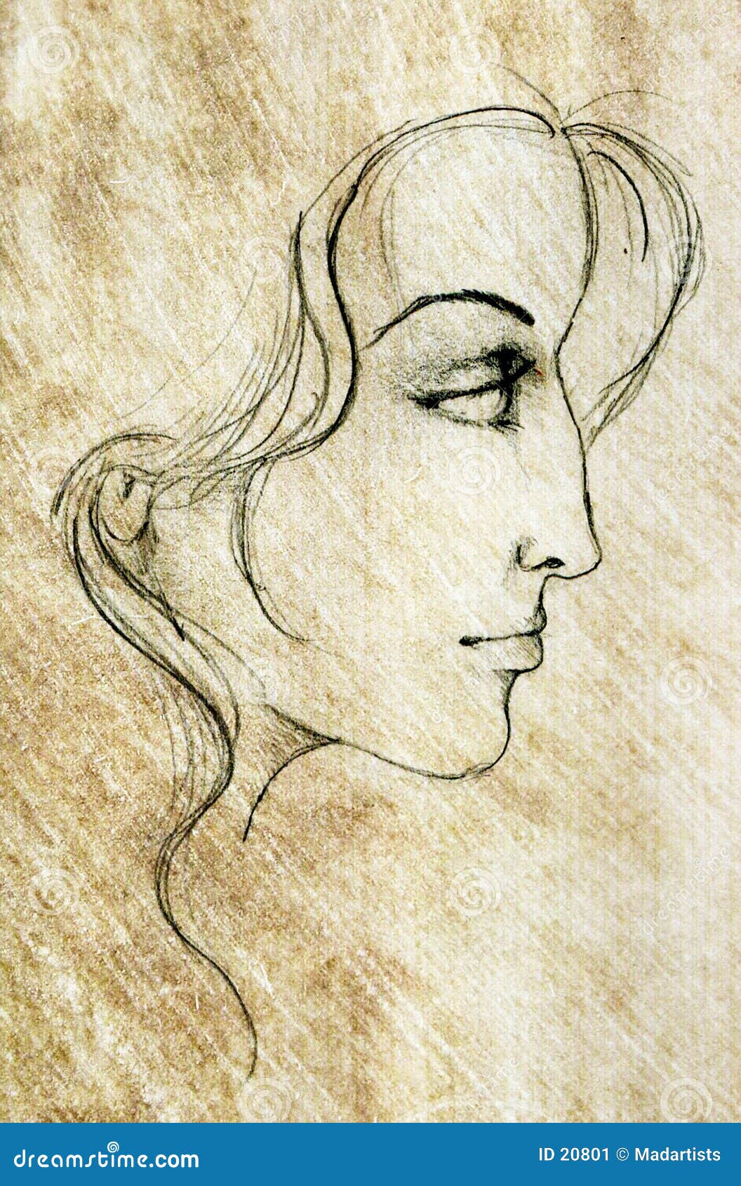 Face of Woman Sketch Drawing Stock Illustration - Illustration of ...