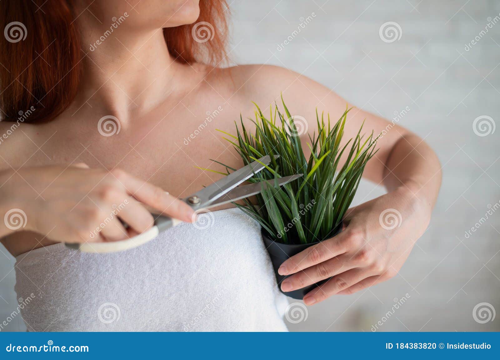 Faceless Red Haired Caucasian Woman Wrapped In A White Terry Towel Shears A Potted Plant With Scissors Armpit Hair Stock Photo Image Of Cosmetology Razor 184383820