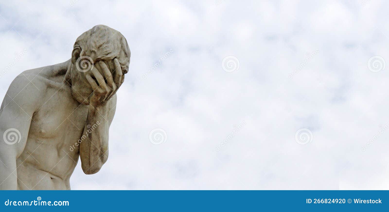 Facepalm Statue Head in Hands Stock Photo Image of panoramic, face