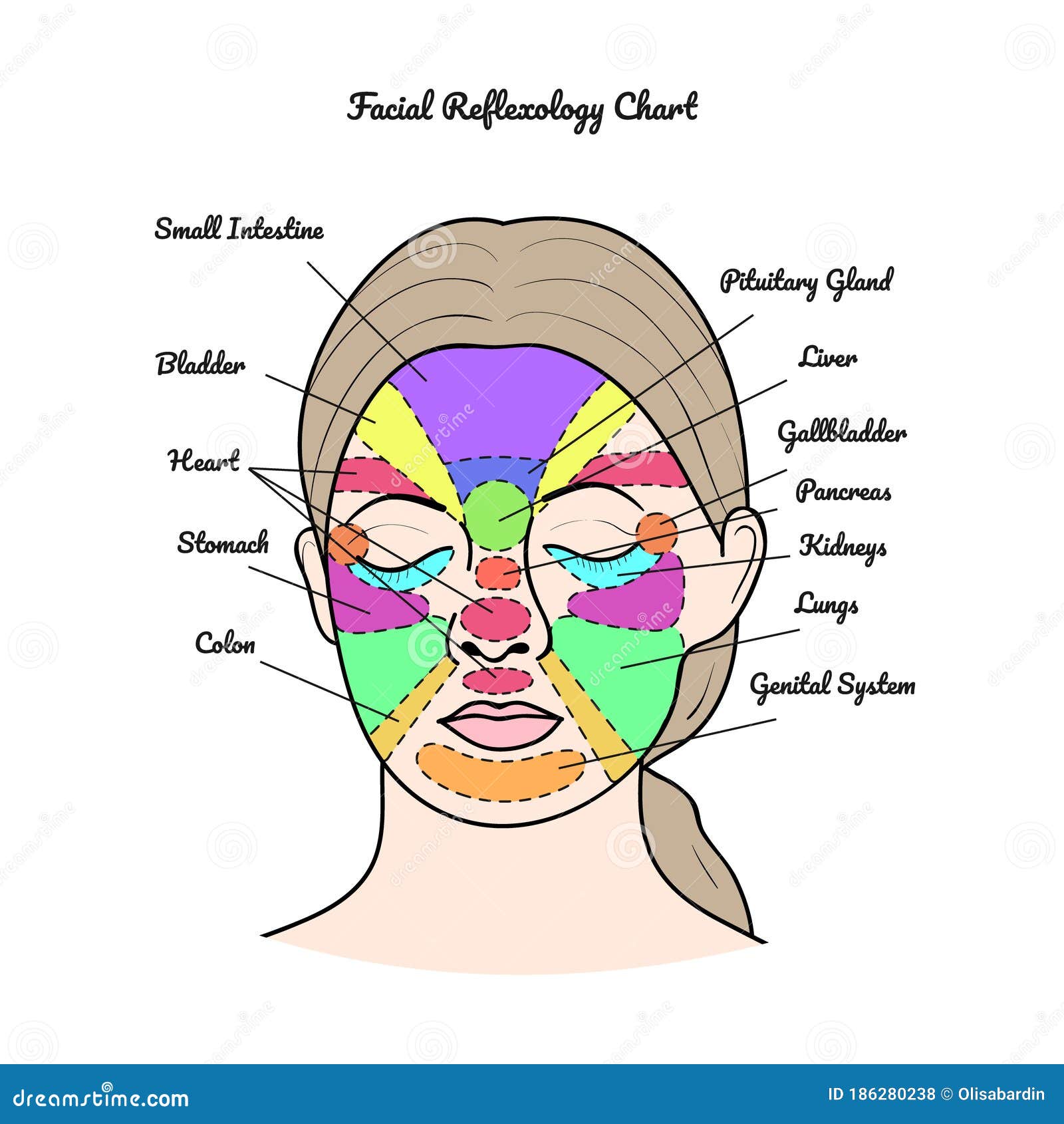 Face Reflexology Map