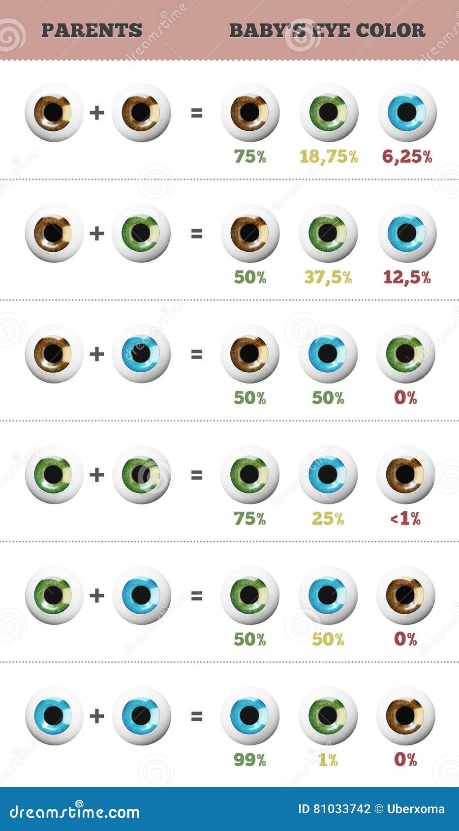 Facteur Predictif De Couleur D Oeil De Bebe Probabilite De Couleur De Yeux Du Bebe Aspect D Un Trait Herite Illustration Stock Illustration Du Iris Brun