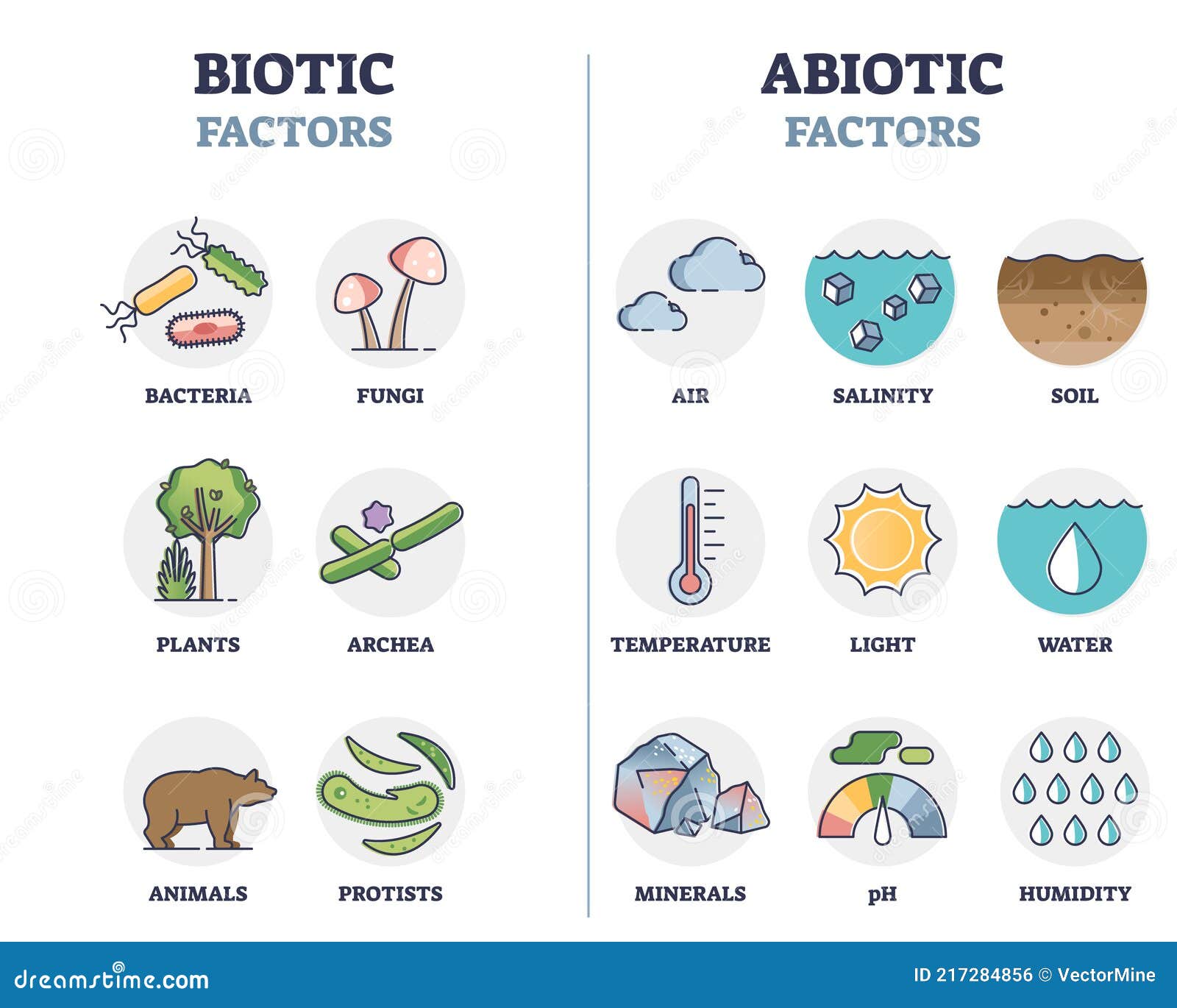 Factores Bióticos Y Abióticos Como Elementos Biológicos Esquema De División  Diagrama Ilustración del Vector - Ilustración de etiquetado, cubo: 217284856