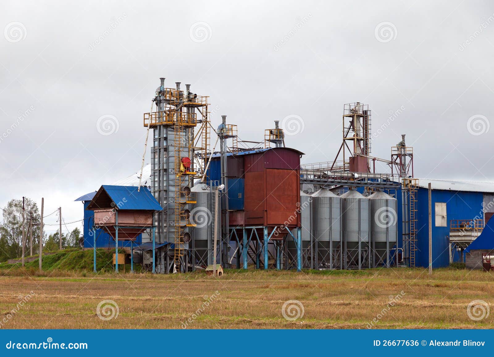 Factory Processing of Grains Stock Photo Image of cereal, equipment