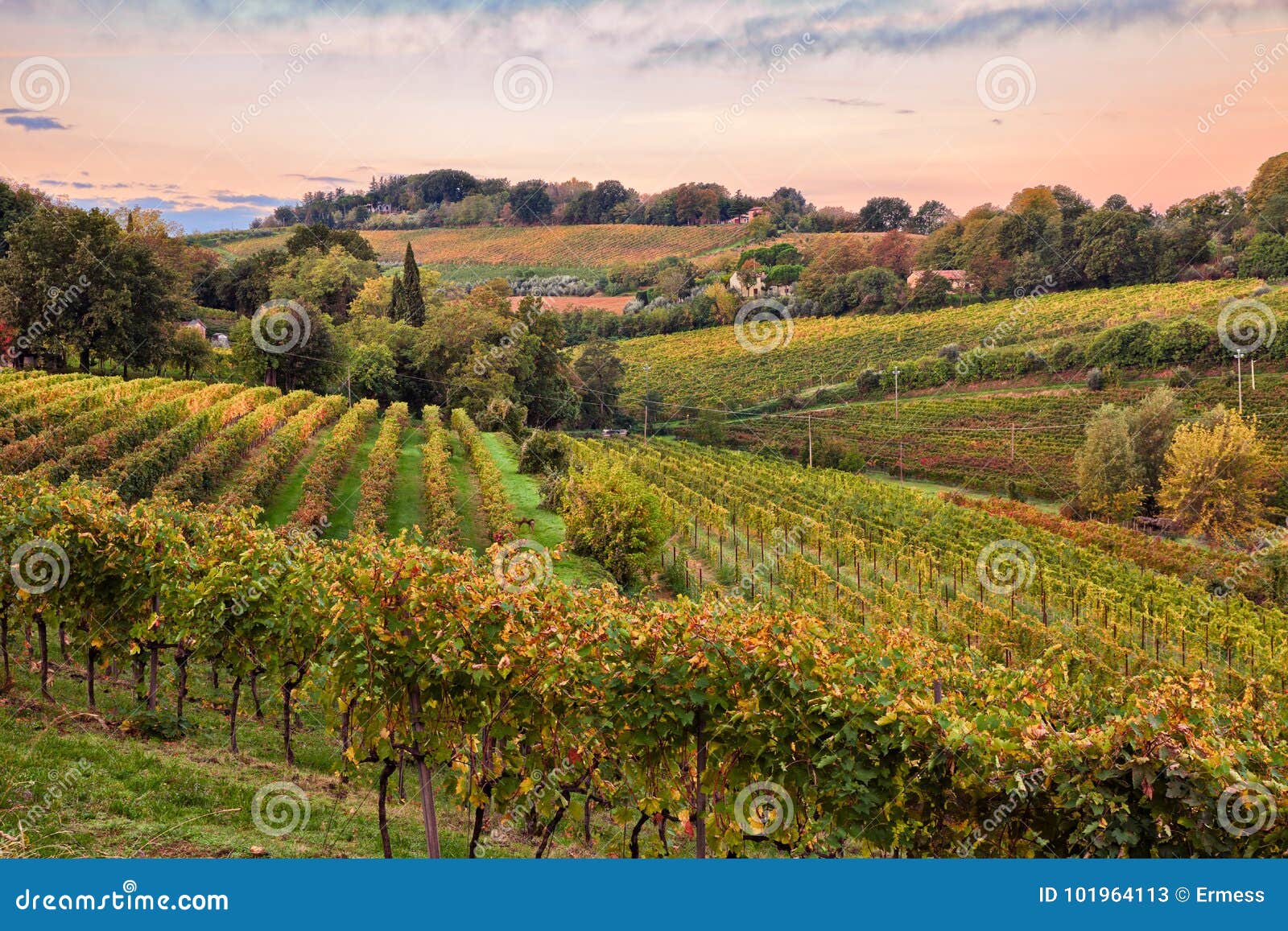 faenza, ravenna, emilia romagna, italy: landscape at dawn of the