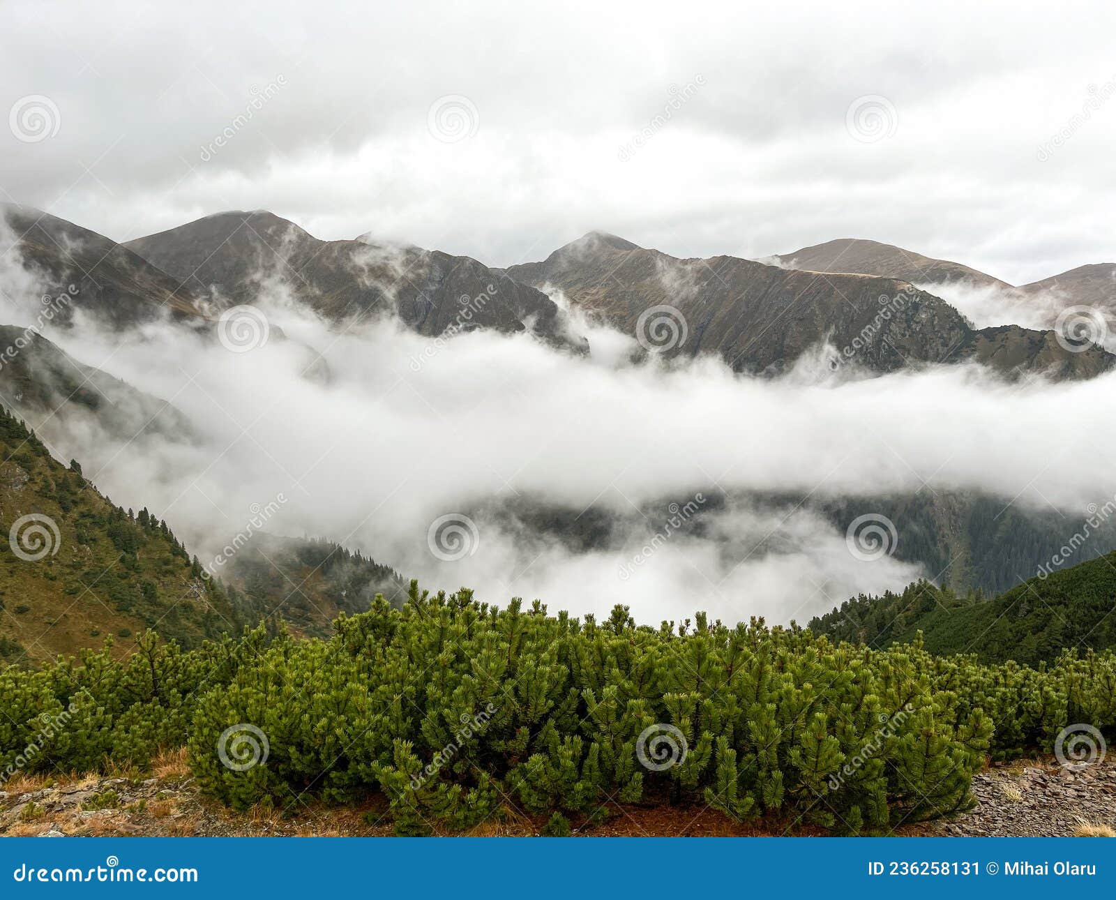 fagaras mountain in a cloudy day around valea rea path