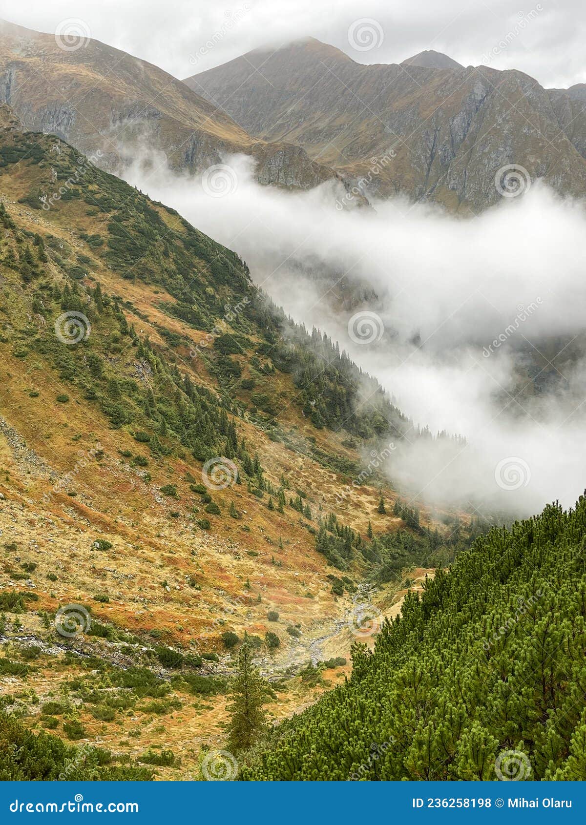 fagaras mountain in a cloudy day around valea rea path
