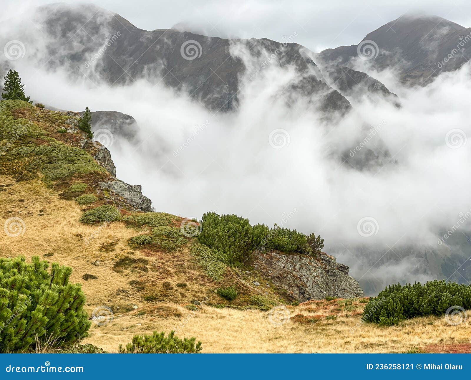 fagaras mountain in a cloudy day around valea rea path
