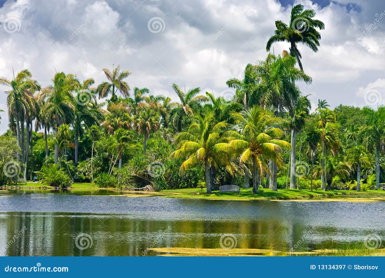 Fairchild Tropical Botanic Garden Stock Image Image Of Tropical