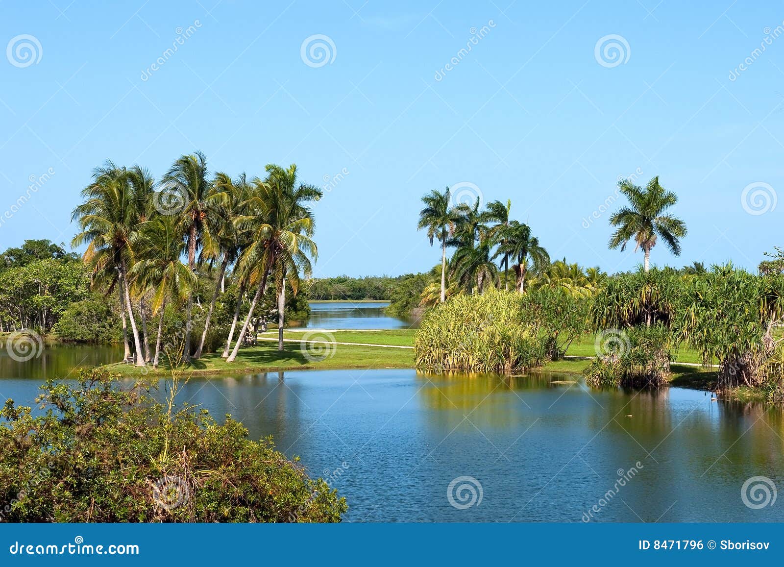 Fairchild Tropical Botanic Garden Stock Photo Image Of Summer