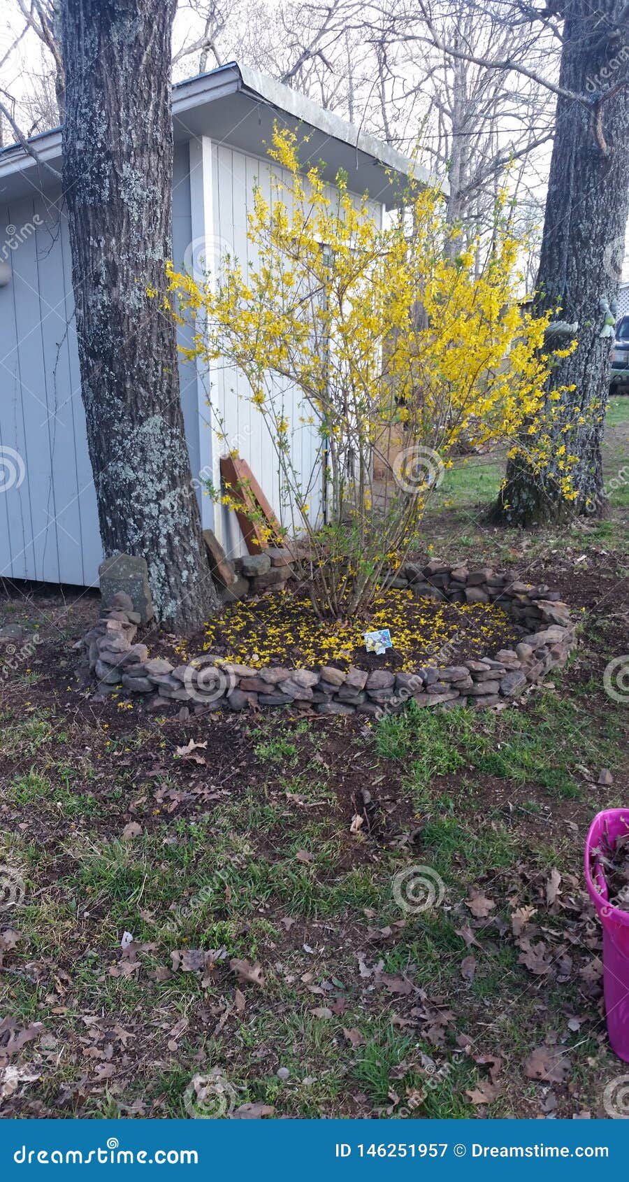 Fairie Ring of Rocks stock image. Image of ring, fairie 146251957