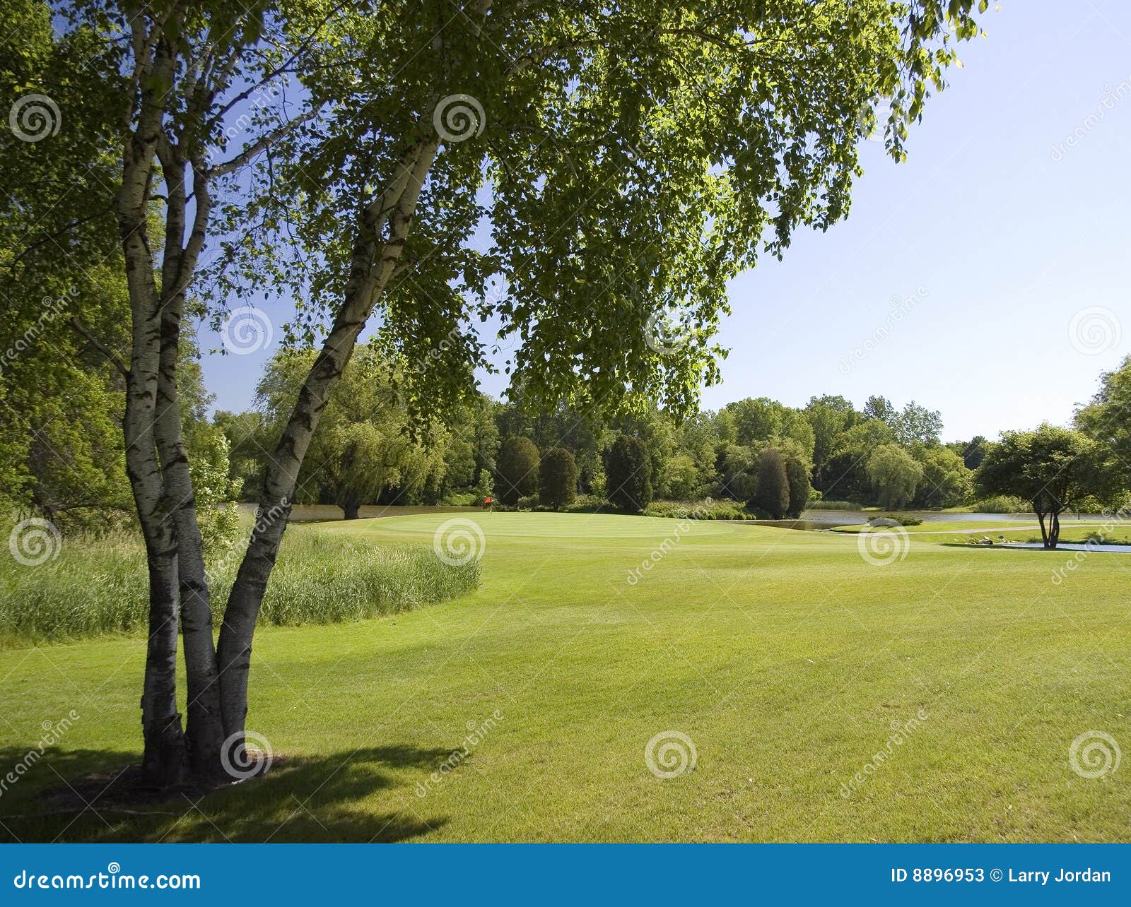 Fairway To the First Green stock image. Image of distance 8896953