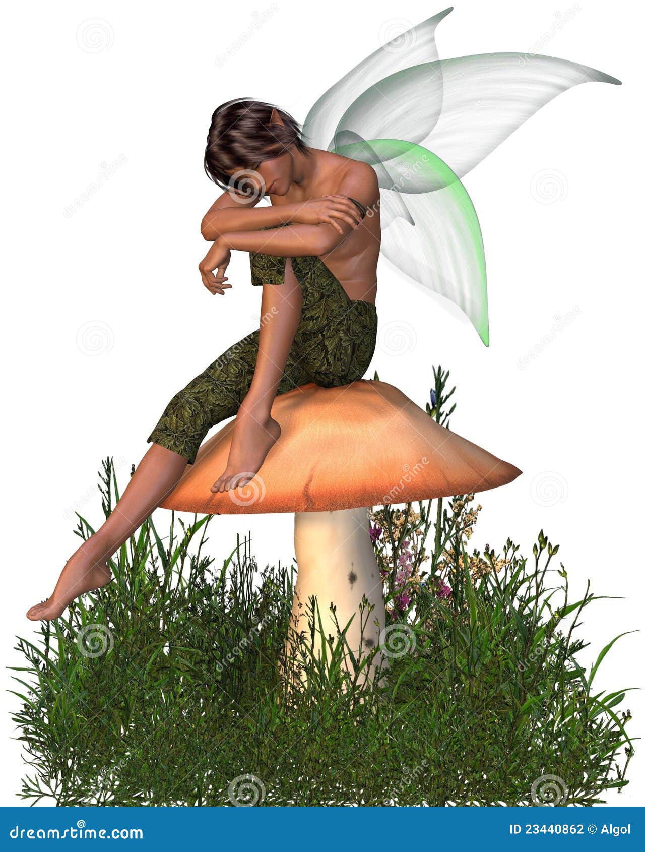 Featured image of post Fairy Sitting On Toadstool - Every fairy needs a little toadstool to live in.