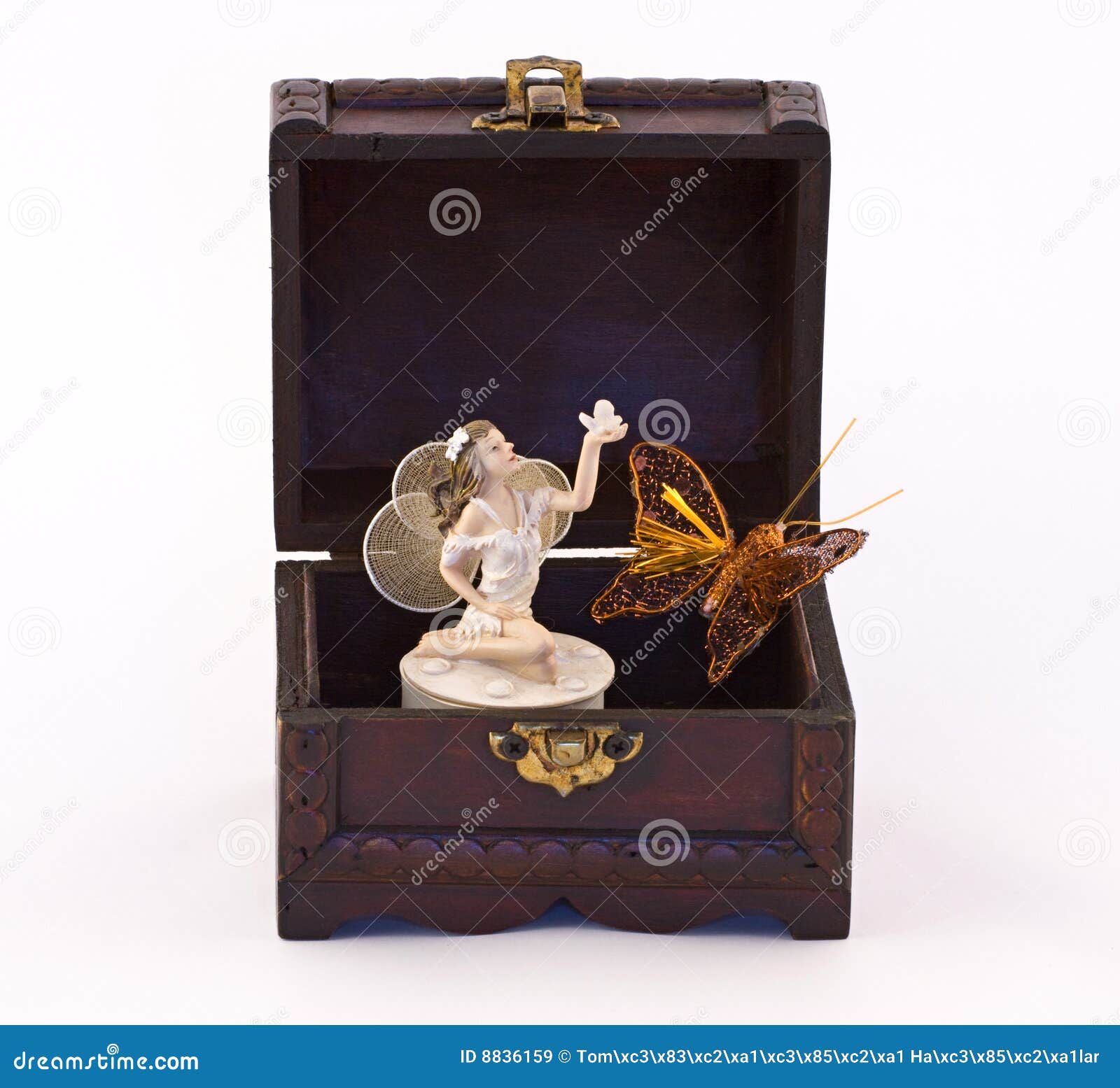 Fairy, chest and butterfly stock image. Image of chest 8836159