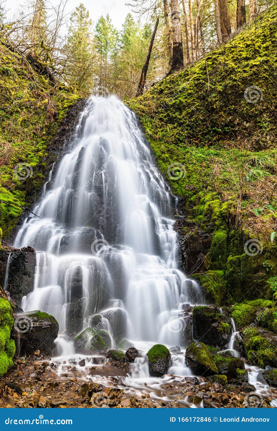 Fairy Falls In The Columbia River Gorge Usa Stock Photo Image Of