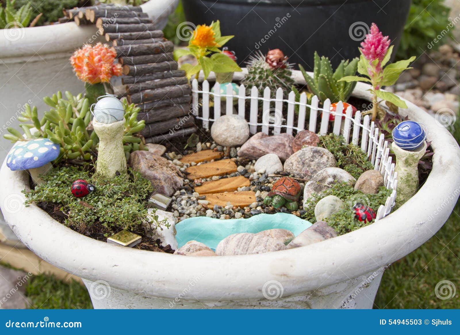 Fairy Garden In A Flower Pot Outdoors Stock Image Image Of