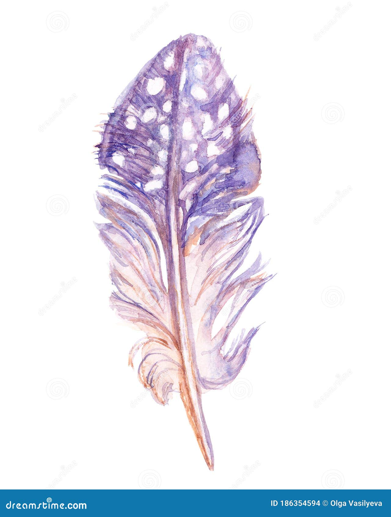 Fairy Quail Feather Isolated on the White Background. Handdrawn Watercolor  Work Stock Illustration - Illustration of draw, magic: 186354594