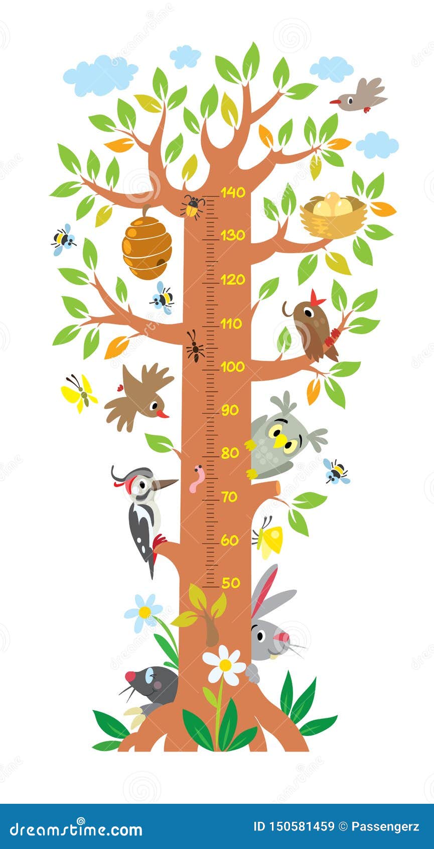 Kids Wall Height Chart