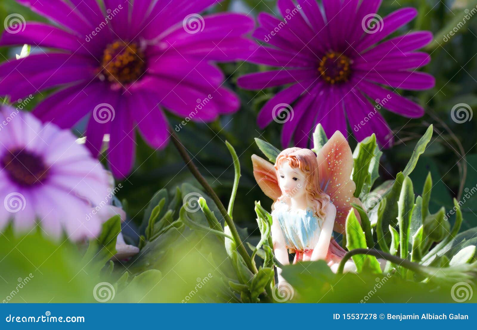 fairy on vegetation
