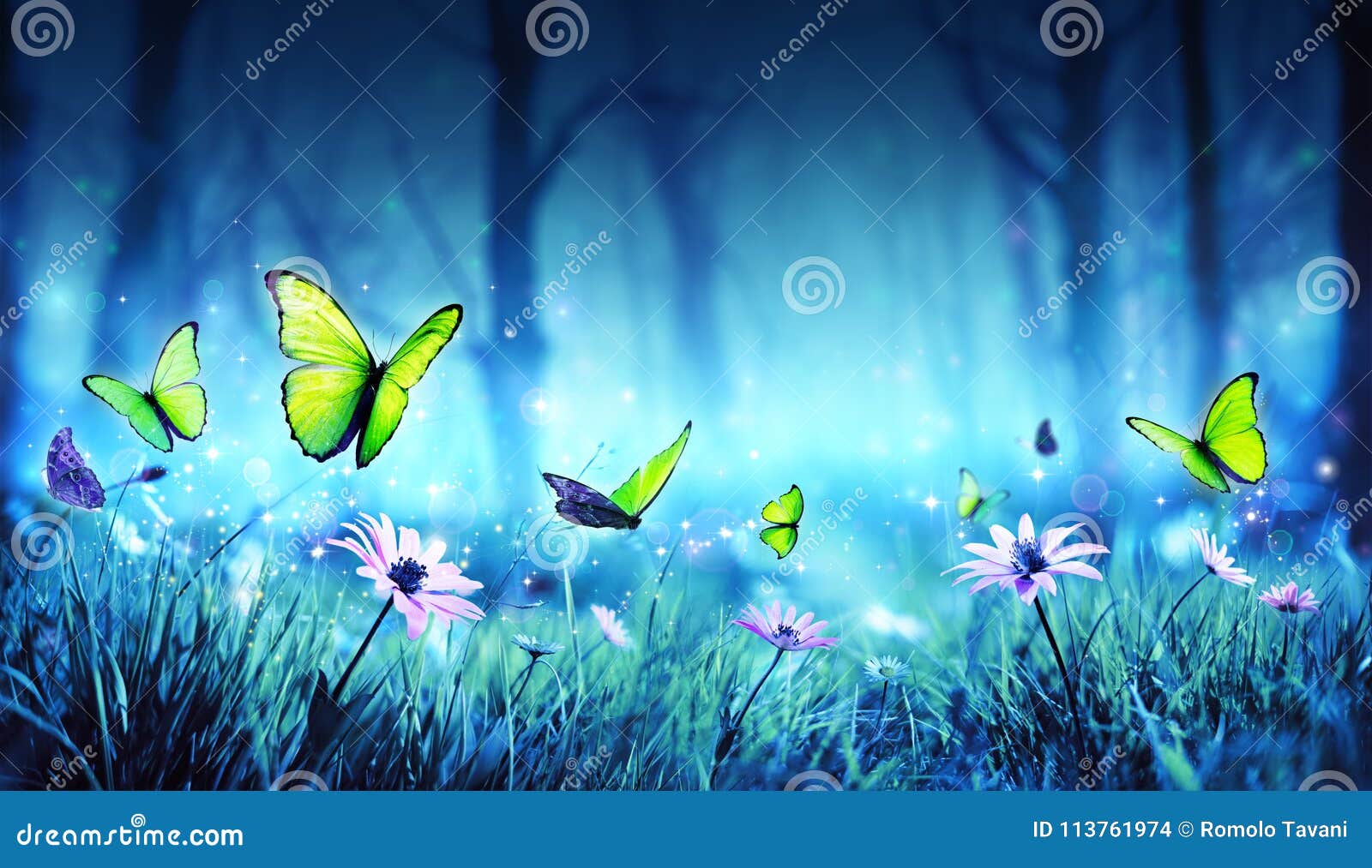 fairy butterflies in mystic forest