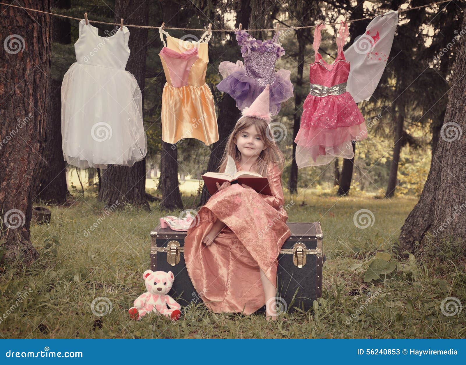 Fairy Tale Princess Stock Photos - 92,005 Images