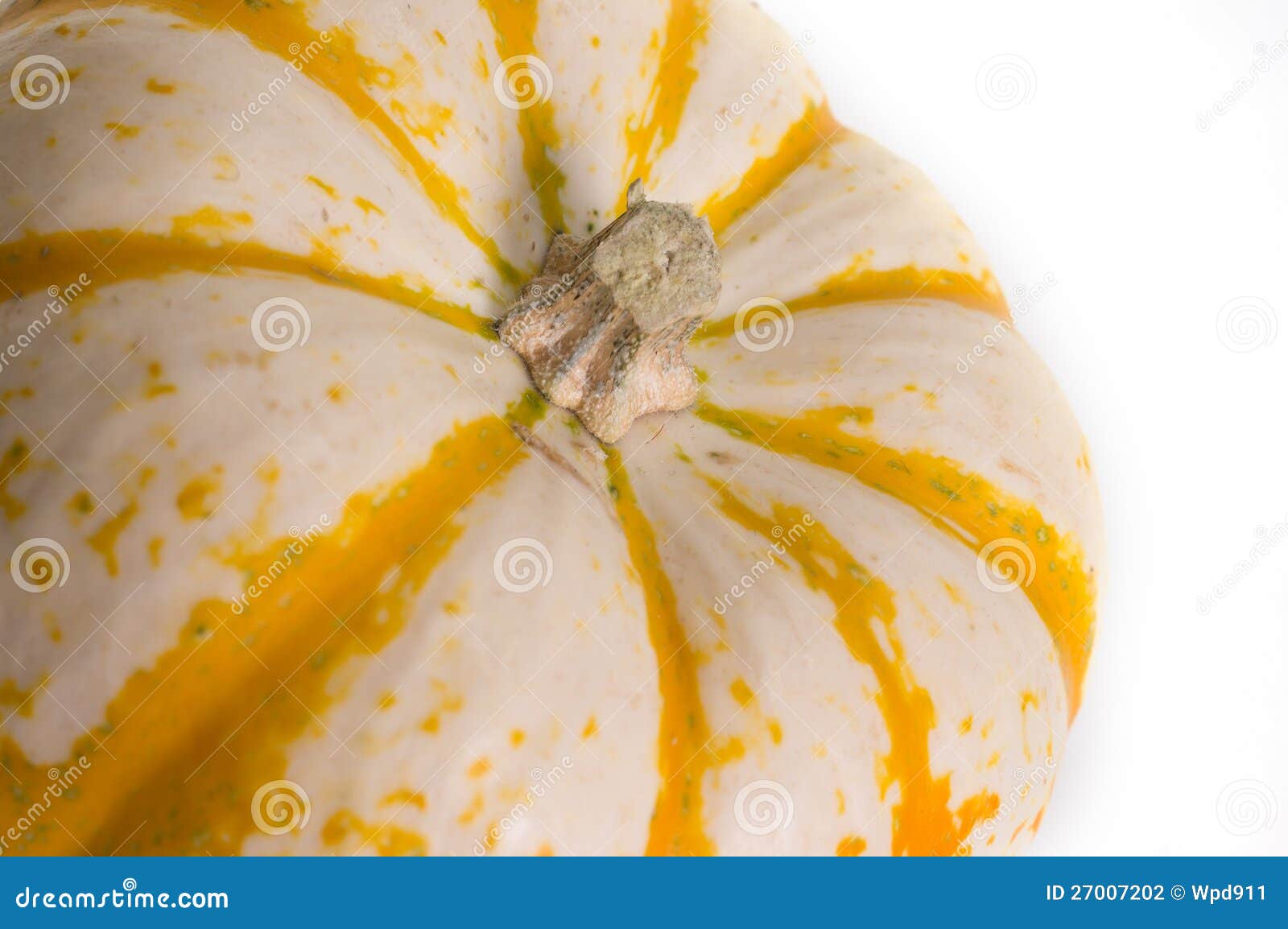 fairytale pumpkin fairytale pumpkin