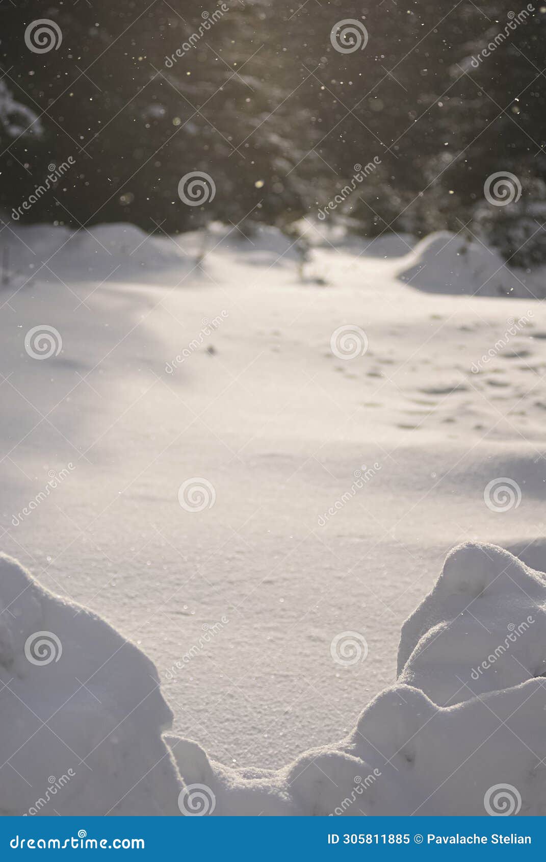 fairytale winter scenery with snow covered pine trees and forest on the picturesque hills. bucegi mountains