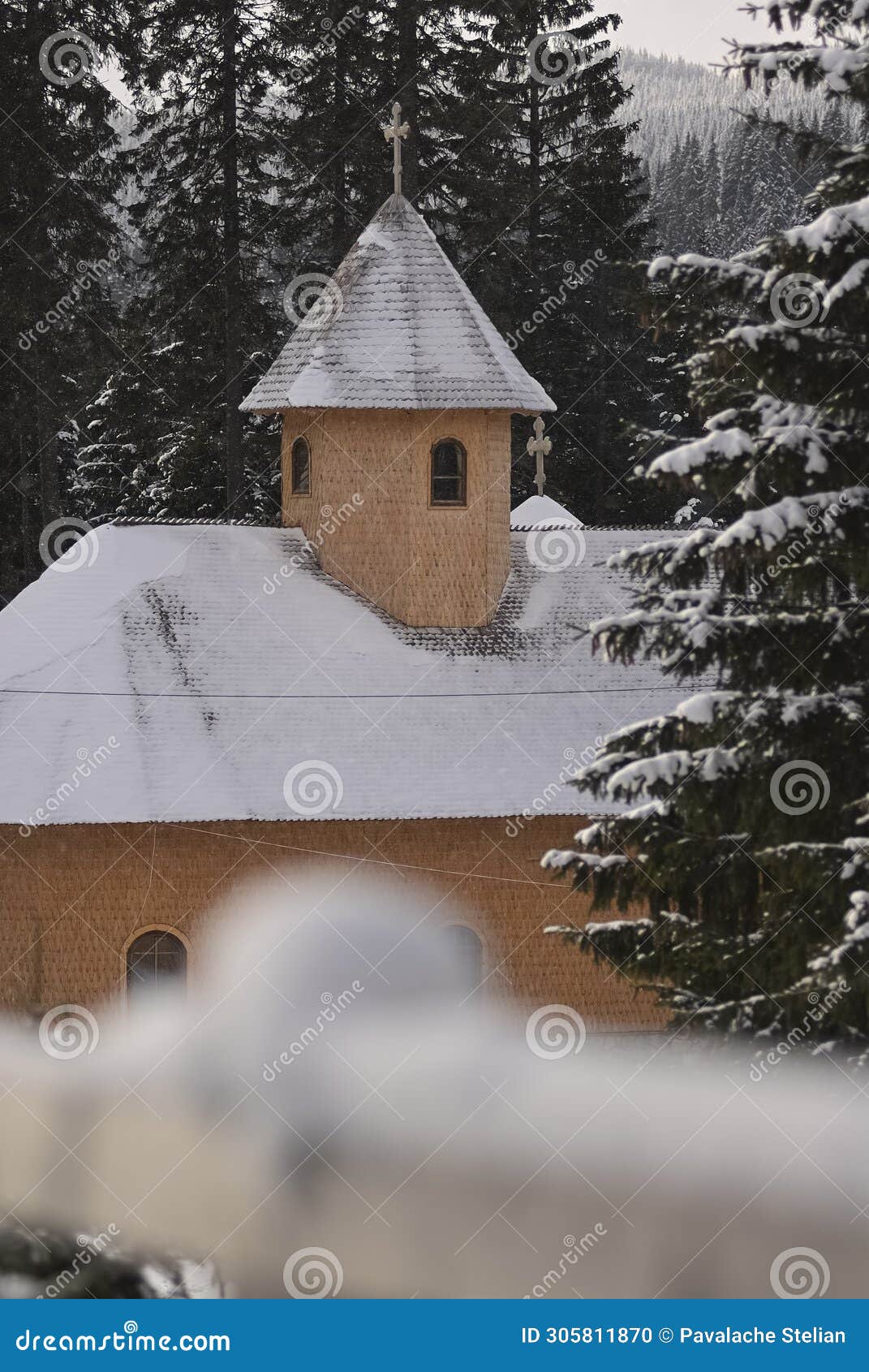 fairytale winter scenery with snow covered pine trees and forest on the picturesque hills. bucegi mountains