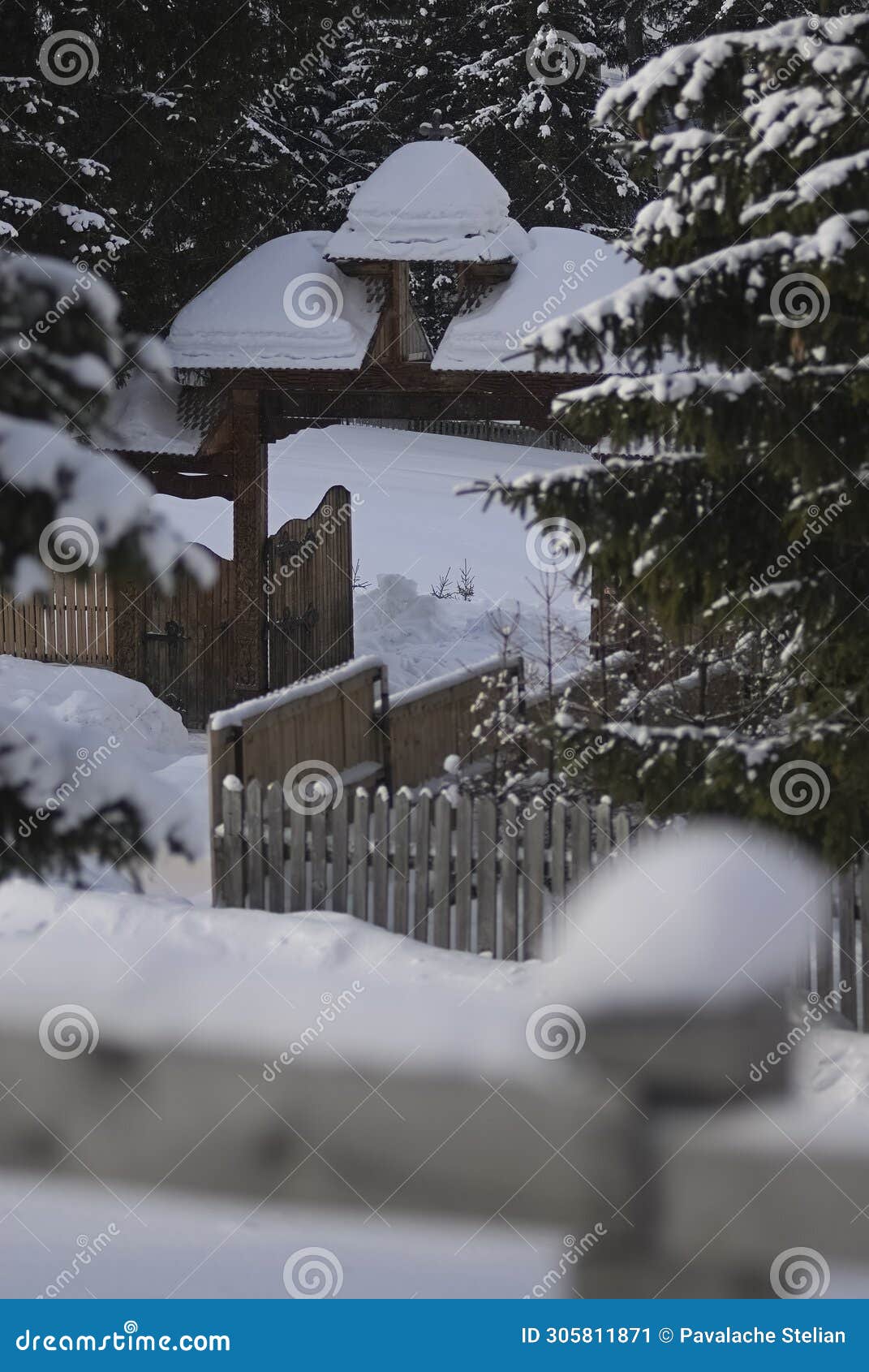 fairytale winter scenery with snow covered pine trees and forest on the picturesque hills. bucegi mountains