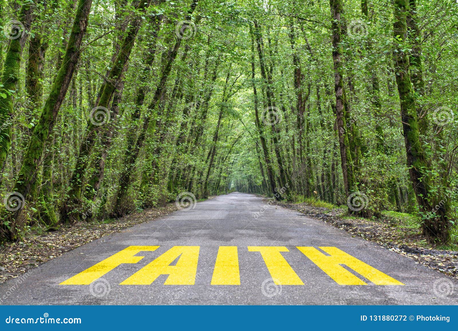 jungle road to faith