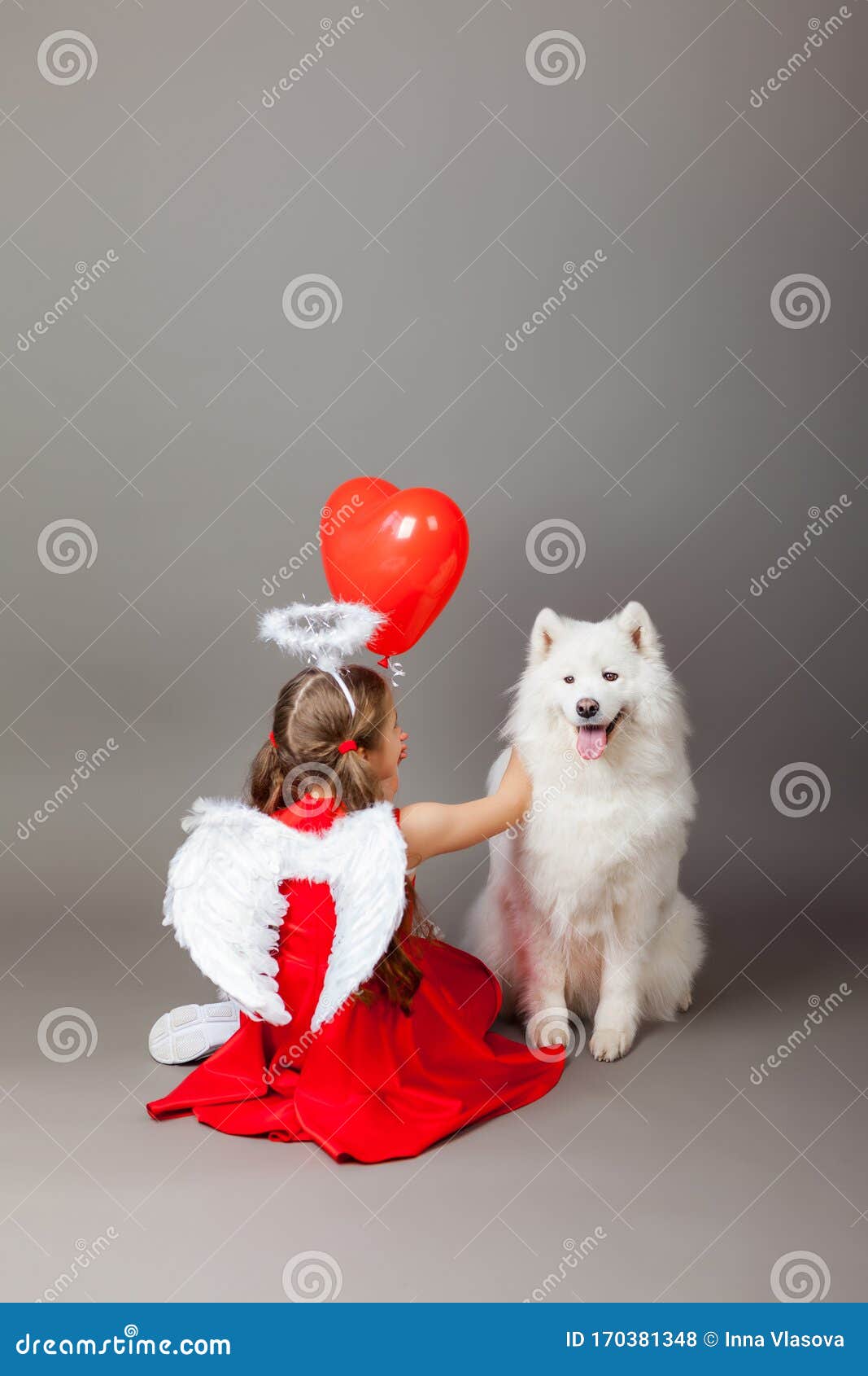 2 Halo Dog Photos Free Royalty Free Stock Photos From Dreamstime